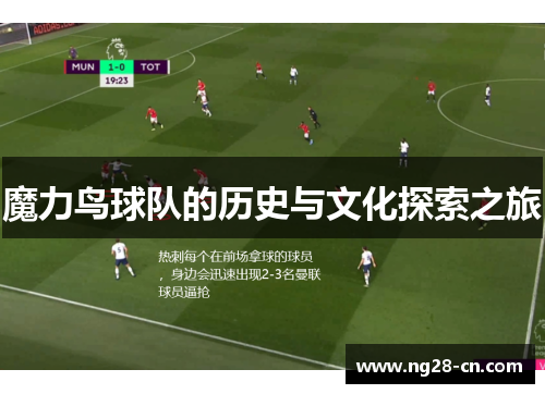 魔力鸟球队的历史与文化探索之旅