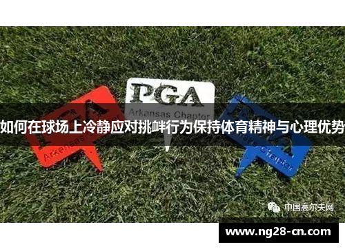 如何在球场上冷静应对挑衅行为保持体育精神与心理优势